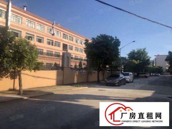  （实拍）厚街环岗原房东花园式厂房一二楼7000平方出租