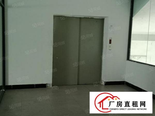  厚街带环评一楼1280厂房厂房分租