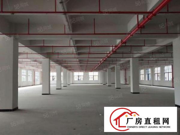  厚街带环评一楼1280厂房厂房分租