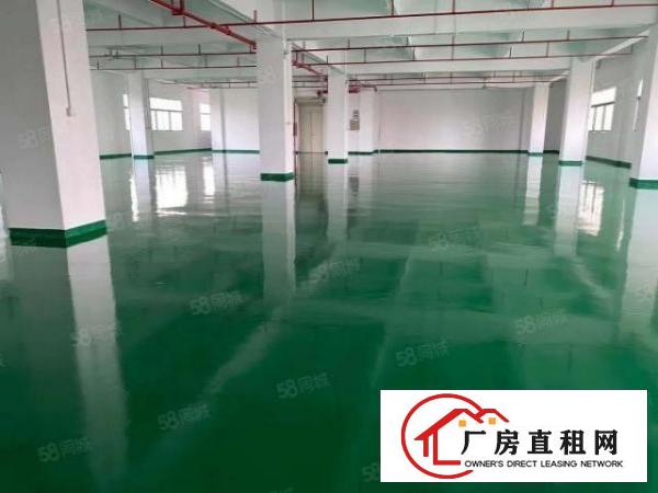  原房东厂房出租厚街桥头1楼1000平方