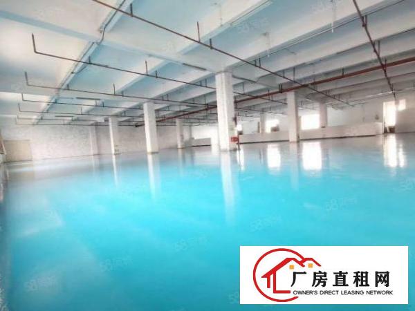  原房东厂房出租厚街桥头1楼1000平方