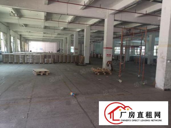  厚街新出现成沙发厂房招租楼房14层面积15000平方