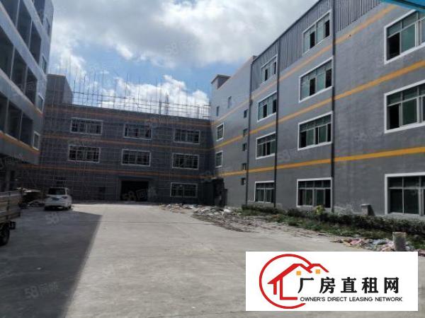  厚街新出现成沙发厂房招租楼房14层面积15000平方