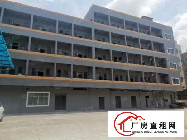  厚街新出现成沙发厂房招租楼房14层面积15000平方
