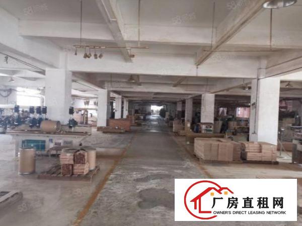  厚街新出现成沙发厂房招租楼房14层面积15000平方
