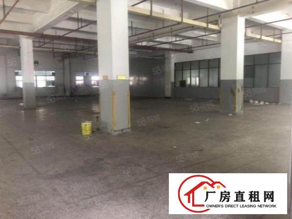  三屯新空出一楼700平方厂房仓库出租空地大形象好招工交通便利