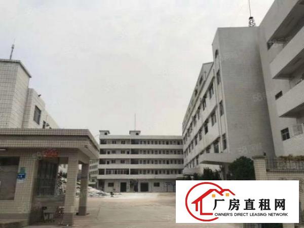  独院标准厂房园区水电证件齐全可办环评大小可分租