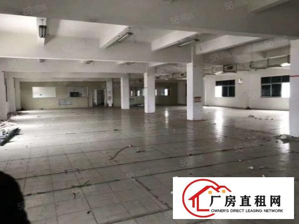  独院标准厂房园区水电证件齐全可办环评大小可分租