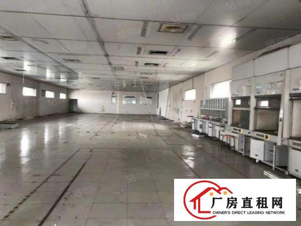  独院标准厂房园区水电证件齐全可办环评大小可分租
