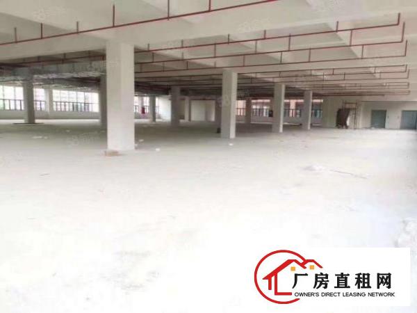  出租|厚街标准厂房1200平超大空地这件齐全