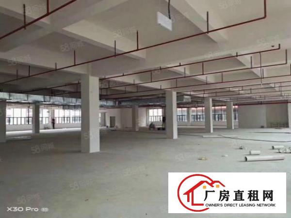  出租|厚街标准厂房1200平超大空地这件齐全