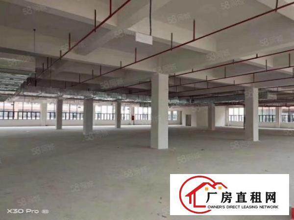  出租|厚街标准厂房1200平超大空地这件齐全