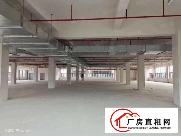 出租|厚街标准厂房1200平超大空地这件齐全