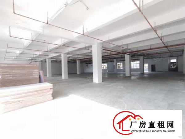  厚街超大空地园区一楼1500平方厂房出租