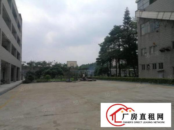  厚街镇寮廈村新出1至2层花园式标准厂房