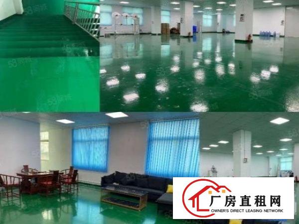  秒杀房原房东直租650平拎包入住超漂亮厂房