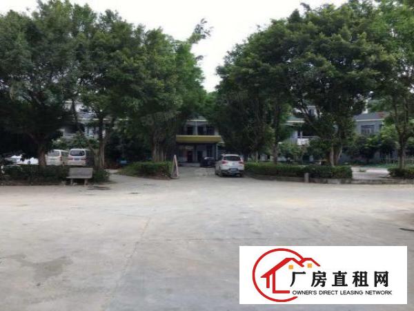 厚街新空出高端大气工业园独立豪华办公室消防喷淋
