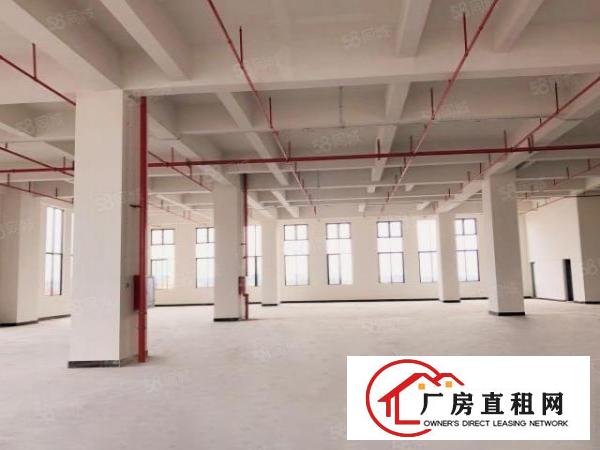  东莞厚街一手房东3000平方高新产业园特价出租