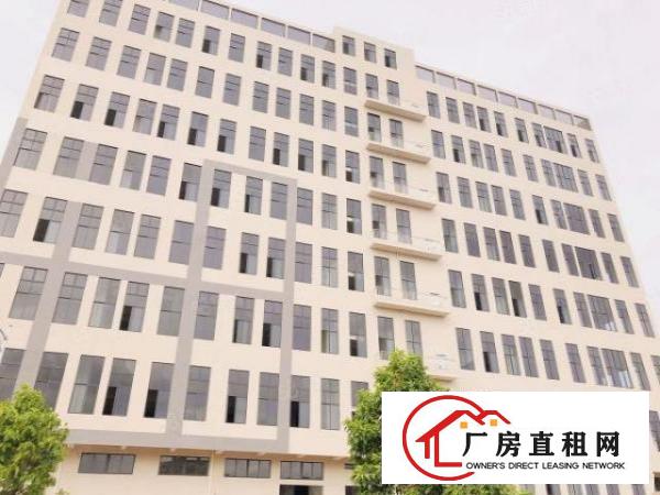  东莞厚街一手房东3000平方高新产业园特价出租