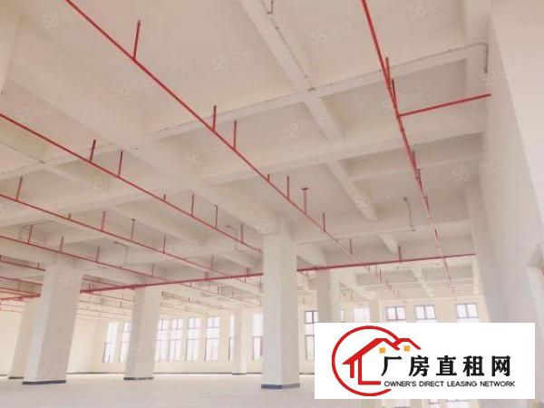  东莞厚街一手房东3000平方高新产业园特价出租