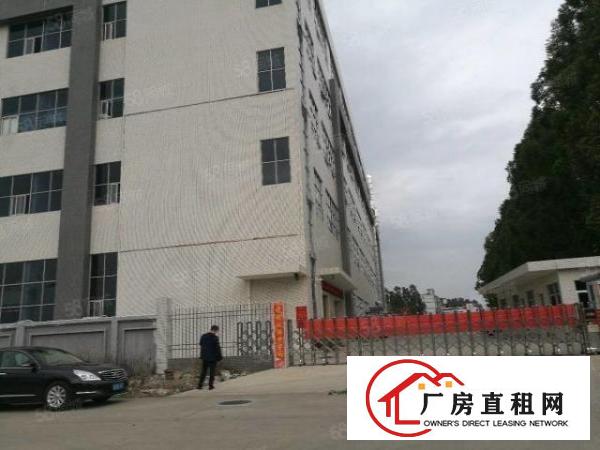  厚街标准厂房一楼1500平方二楼2600出租可办环评