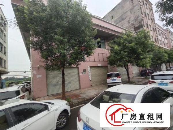  厚街新出独栋2层厂房西环路边上一楼带铺面效果一部货梯