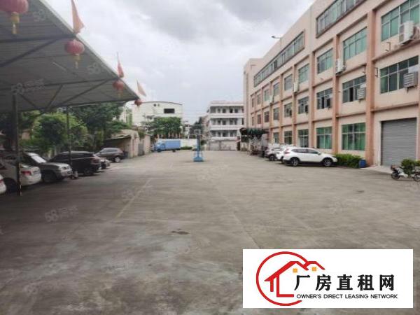  双岗新出独栋12楼共4000方精装修厂房出租，可分租