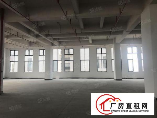  采光通风效果，厚街高新产业园单层3300平方厂房出租