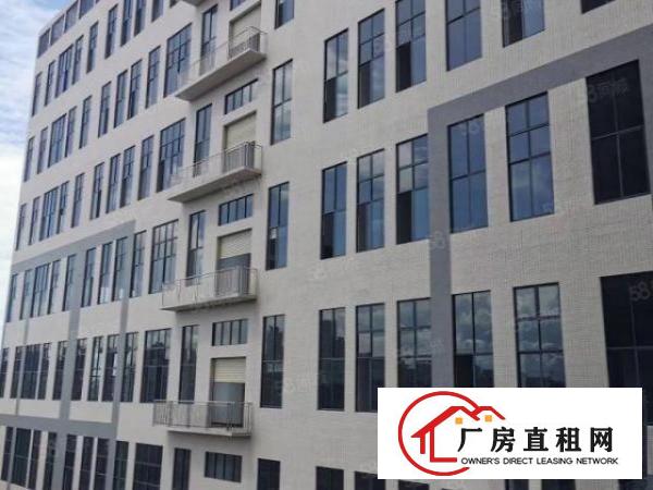  采光通风效果，厚街高新产业园单层3300平方厂房出租