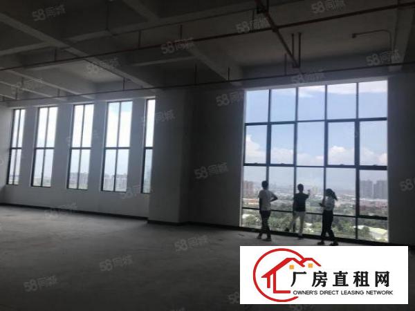  采光通风效果，厚街高新产业园单层3300平方厂房出租