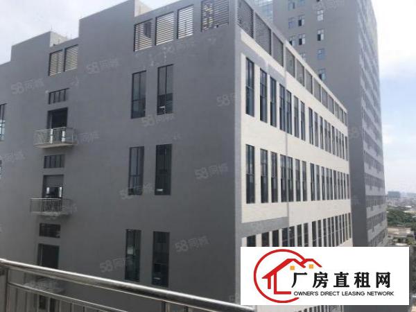 采光通风效果，厚街高新产业园单层3300平方厂房出租
