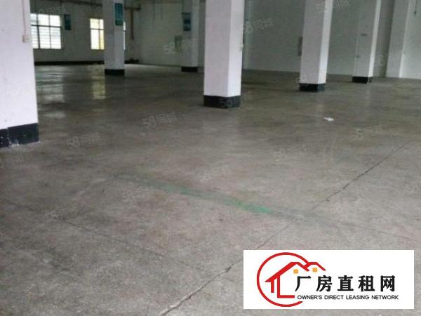  厚街三屯新出原房东厂房1500平带现成办公室装水电到车间