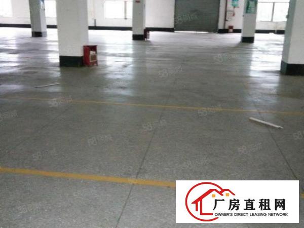  厚街三屯新出原房东厂房1500平带现成办公室装水电到车间