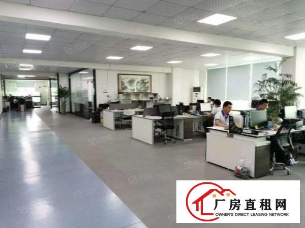  原房东精装修1500平方真实随时空出