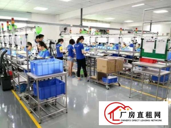  原房东精装修1500平方真实随时空出