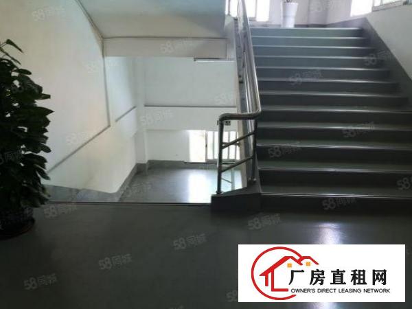  涌口精装修厂房仓库1500方急租