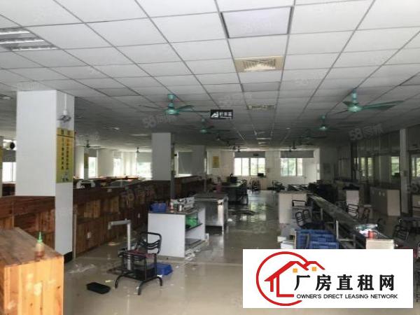  厚街原房东1万方花园式独院厂房出租