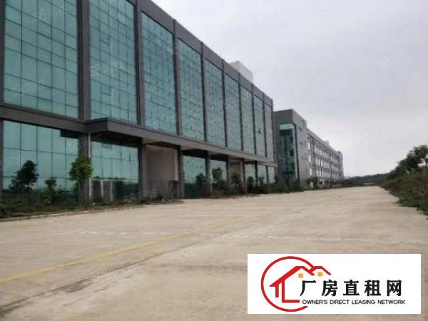 家具大道展厅卖场办公独栋2000平方出租形象好装有货梯位置好
