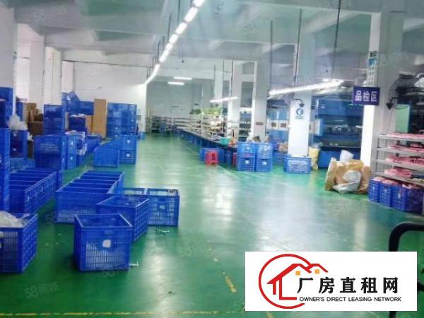  小面积超低价11元厂房水电齐全