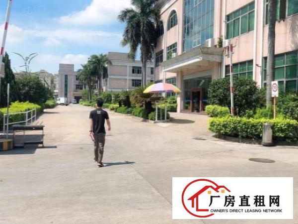  厚街镇桥头第三工业区独院厂房11000平米招租
