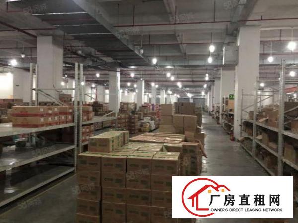  厚街镇桥头第三工业区独院厂房11000平米招租