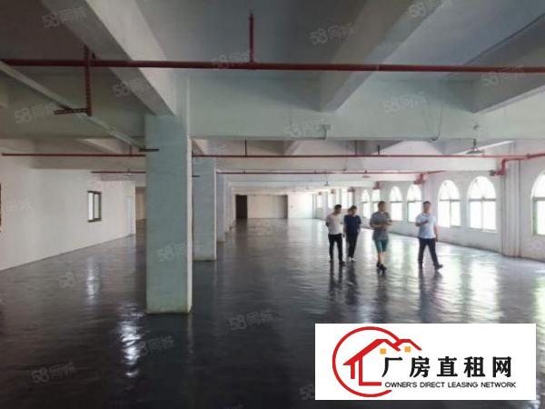  原房东精装修带豪华办公室2000平厂房