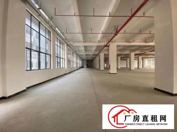  （实拍）厚街全新空地超大厂房单层1300平方