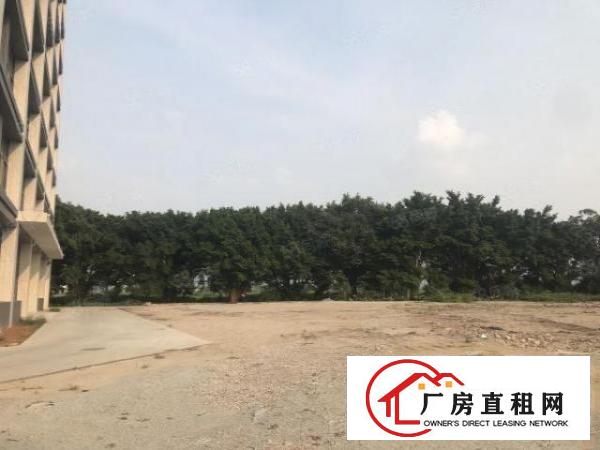  （实拍）厚街全新空地超大厂房单层1300平方