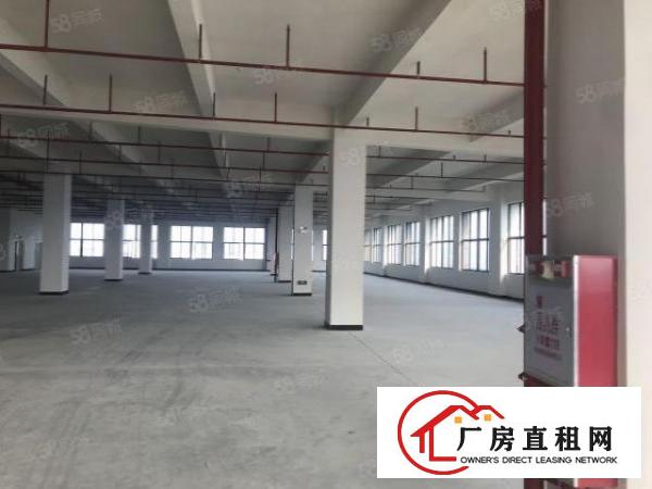  （实拍）厚街全新空地超大厂房单层1300平方