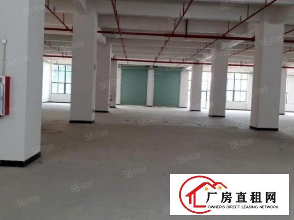  一手房东3000平一整层出租