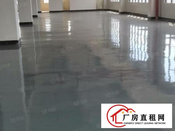  下汴工业园区全新厂房招租