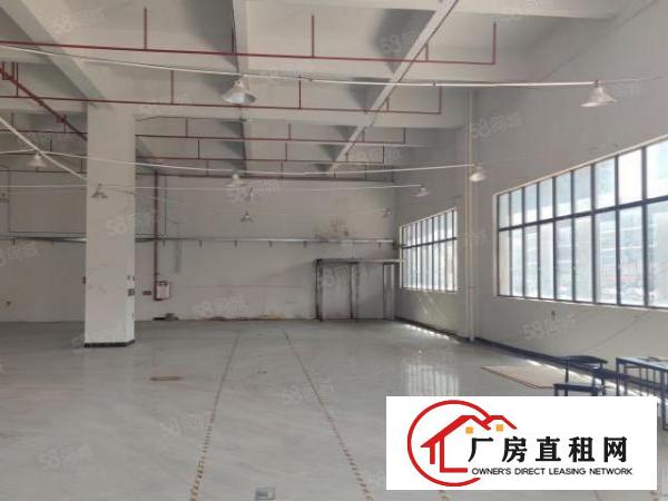  厚街下汴园区一楼全新990平厂房出租，带消防喷淋采光好水电全