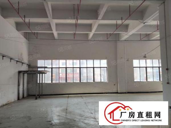  厚街下汴园区一楼全新990平厂房出租，带消防喷淋采光好水电全