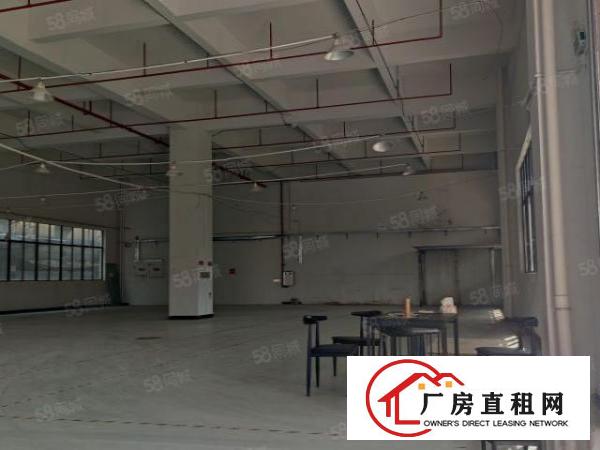  厚街下汴园区一楼全新990平厂房出租，带消防喷淋采光好水电全